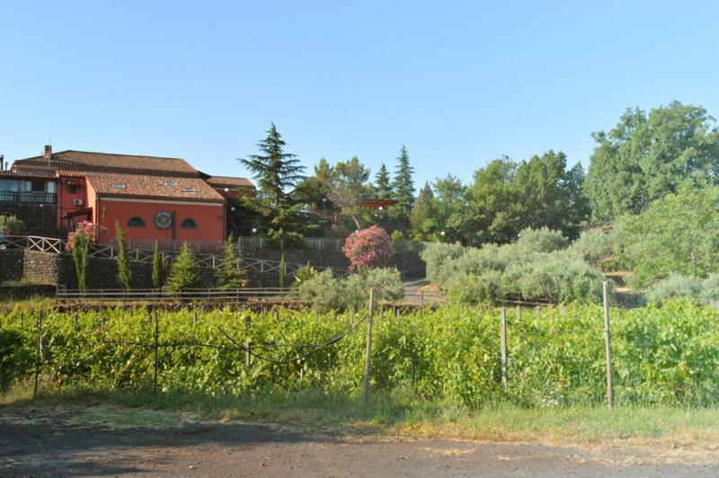 Agriturismo Kikajon Лингуаглосса Экстерьер фото